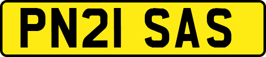 PN21SAS