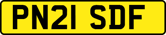 PN21SDF