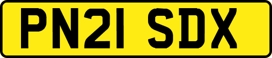PN21SDX