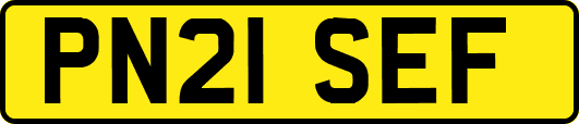 PN21SEF