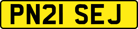 PN21SEJ