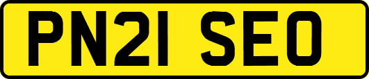 PN21SEO
