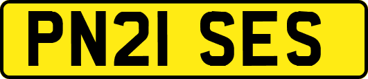 PN21SES