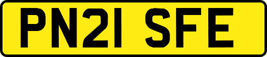 PN21SFE