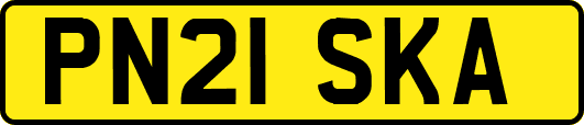 PN21SKA