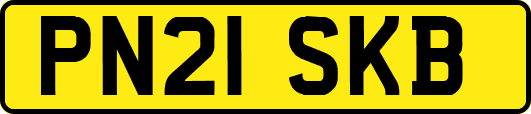 PN21SKB