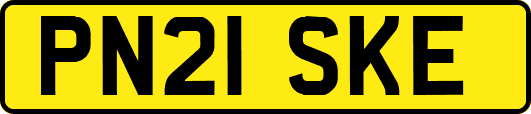 PN21SKE