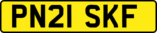 PN21SKF