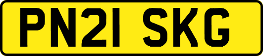 PN21SKG