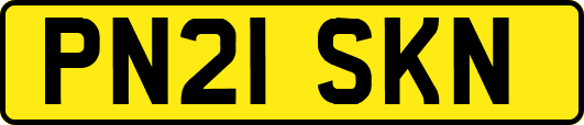 PN21SKN