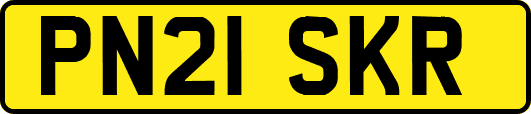 PN21SKR