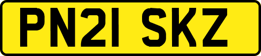 PN21SKZ