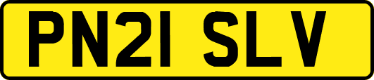 PN21SLV
