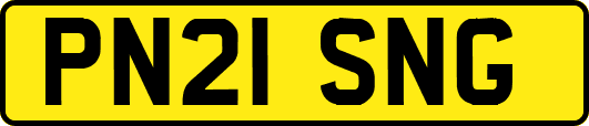 PN21SNG