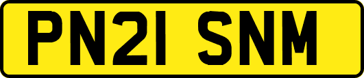 PN21SNM