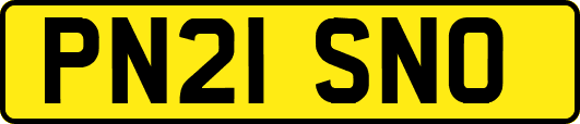 PN21SNO