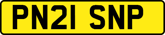 PN21SNP