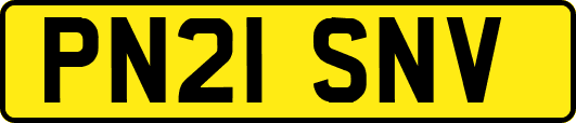 PN21SNV