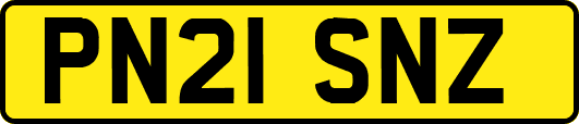 PN21SNZ