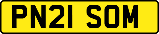 PN21SOM