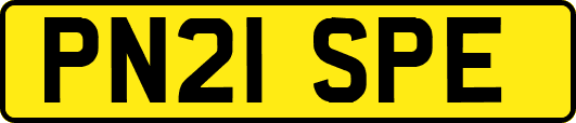 PN21SPE