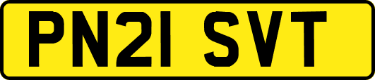 PN21SVT