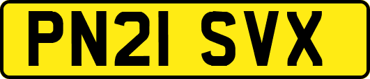 PN21SVX