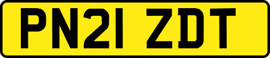 PN21ZDT