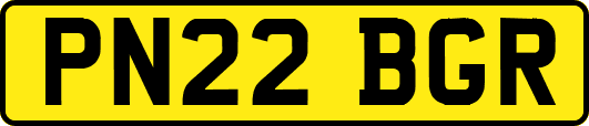 PN22BGR