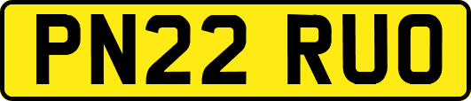 PN22RUO