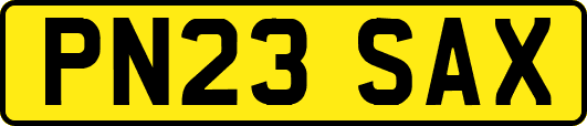 PN23SAX