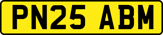 PN25ABM
