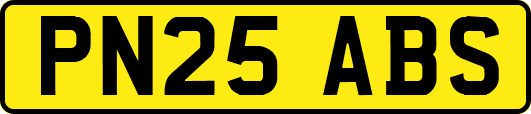 PN25ABS