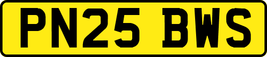 PN25BWS