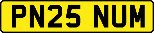 PN25NUM