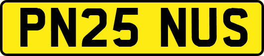 PN25NUS