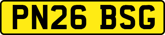 PN26BSG