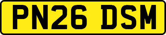 PN26DSM