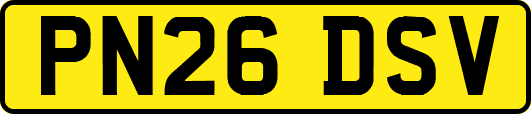 PN26DSV
