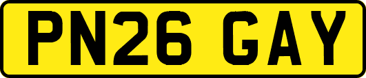 PN26GAY