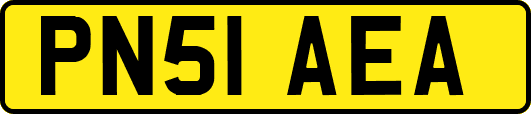 PN51AEA