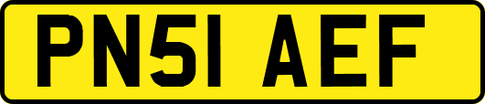 PN51AEF