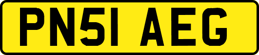 PN51AEG