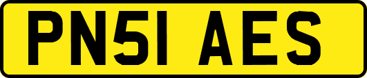 PN51AES