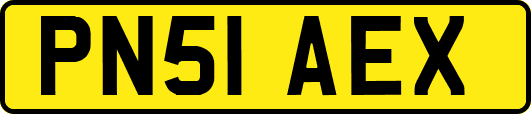 PN51AEX