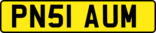 PN51AUM