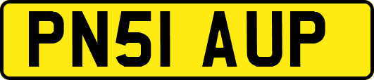 PN51AUP