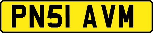 PN51AVM