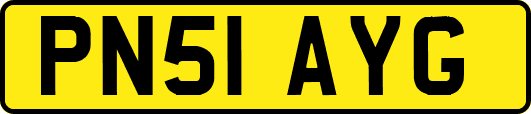 PN51AYG