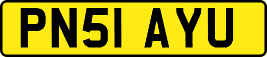 PN51AYU